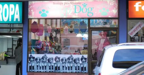BOUTIQUE PARA MASCOTAS TOP DOG MONTEVERDE BOGOTÁ BOUTIQUE PARA MASCOTAS TOP DOG MONTEVERDE BOGOTÁ